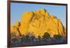 USA, California, Joshua Tree National Park, granite, Joshua trees-Charles Gurche-Framed Photographic Print