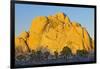 USA, California, Joshua Tree National Park, granite, Joshua trees-Charles Gurche-Framed Photographic Print