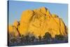 USA, California, Joshua Tree National Park, granite, Joshua trees-Charles Gurche-Stretched Canvas