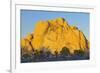 USA, California, Joshua Tree National Park, granite, Joshua trees-Charles Gurche-Framed Photographic Print