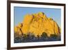 USA, California, Joshua Tree National Park, granite, Joshua trees-Charles Gurche-Framed Photographic Print