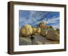 USA, California, Joshua Tree National Park, granite-Charles Gurche-Framed Photographic Print