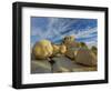 USA, California, Joshua Tree National Park, granite-Charles Gurche-Framed Photographic Print