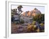 USA, California, Joshua Tree National Park-Jaynes Gallery-Framed Photographic Print