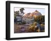 USA, California, Joshua Tree National Park-Jaynes Gallery-Framed Photographic Print