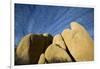 USA, California, Joshua Tree National Park-Charles Gurche-Framed Photographic Print