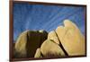 USA, California, Joshua Tree National Park-Charles Gurche-Framed Photographic Print