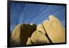 USA, California, Joshua Tree National Park-Charles Gurche-Framed Photographic Print