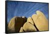 USA, California, Joshua Tree National Park-Charles Gurche-Framed Stretched Canvas