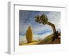 USA, California, Joshua Tree National Park-Charles Gurche-Framed Photographic Print