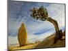 USA, California, Joshua Tree National Park-Charles Gurche-Mounted Photographic Print