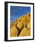 USA, California, Joshua Tree National Park-Charles Gurche-Framed Photographic Print