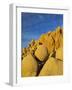 USA, California, Joshua Tree National Park-Charles Gurche-Framed Photographic Print