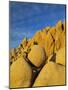 USA, California, Joshua Tree National Park-Charles Gurche-Mounted Photographic Print