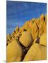 USA, California, Joshua Tree National Park-Charles Gurche-Mounted Photographic Print