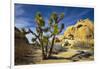 USA, California, Joshua Tree National Park-Charles Gurche-Framed Photographic Print