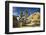 USA, California, Joshua Tree National Park-Charles Gurche-Framed Photographic Print