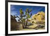 USA, California, Joshua Tree National Park-Charles Gurche-Framed Photographic Print