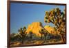 USA, California, Joshua Tree National Park-Charles Gurche-Framed Photographic Print