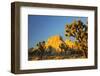 USA, California, Joshua Tree National Park-Charles Gurche-Framed Photographic Print