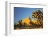 USA, California, Joshua Tree National Park-Charles Gurche-Framed Photographic Print