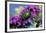 USA, California. June bug on flower.-Jaynes Gallery-Framed Photographic Print