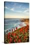 USA, California, La Jolla. Blooming aloe and Wipeout Beach-Ann Collins-Stretched Canvas