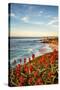 USA, California, La Jolla. Blooming aloe and Wipeout Beach-Ann Collins-Stretched Canvas