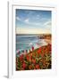 USA, California, La Jolla. Blooming aloe and Wipeout Beach-Ann Collins-Framed Photographic Print