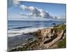 USA, California, La Jolla, Coastal La Jolla at Shell Beach-Ann Collins-Mounted Photographic Print