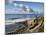 USA, California, La Jolla, Coastal La Jolla at Shell Beach-Ann Collins-Mounted Photographic Print