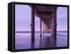 USA, California, La Jolla, Dawn under Scripps Pier at La Jolla Shores-Ann Collins-Framed Stretched Canvas