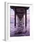 USA, California, La Jolla. Dawn under Scripps Pier at La Jolla Shores-Ann Collins-Framed Photographic Print