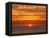 USA, California, La Jolla, Fiery sun drops into the Pacific Ocean-Ann Collins-Framed Stretched Canvas