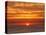 USA, California, La Jolla, Fiery sun drops into the Pacific Ocean-Ann Collins-Stretched Canvas