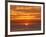 USA, California, La Jolla, Fiery sun drops into the Pacific Ocean-Ann Collins-Framed Photographic Print