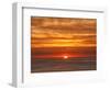 USA, California, La Jolla, Fiery sun drops into the Pacific Ocean-Ann Collins-Framed Photographic Print