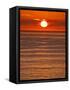 USA, California, La Jolla, Fiery sun drops into the Pacific Ocean-Ann Collins-Framed Stretched Canvas