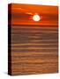 USA, California, La Jolla, Fiery sun drops into the Pacific Ocean-Ann Collins-Stretched Canvas