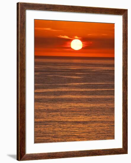 USA, California, La Jolla, Fiery sun drops into the Pacific Ocean-Ann Collins-Framed Photographic Print