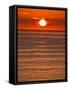 USA, California, La Jolla, Fiery sun drops into the Pacific Ocean-Ann Collins-Framed Stretched Canvas