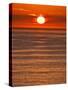 USA, California, La Jolla, Fiery sun drops into the Pacific Ocean-Ann Collins-Stretched Canvas