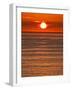 USA, California, La Jolla, Fiery sun drops into the Pacific Ocean-Ann Collins-Framed Photographic Print