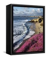 USA, California, La Jolla, Flowers Along the Pacific Coast-Christopher Talbot Frank-Framed Stretched Canvas