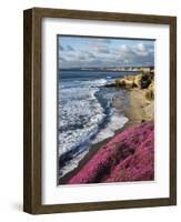 USA, California, La Jolla, Flowers Along the Pacific Coast-Christopher Talbot Frank-Framed Photographic Print