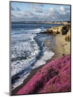 USA, California, La Jolla, Flowers Along the Pacific Coast-Christopher Talbot Frank-Mounted Photographic Print