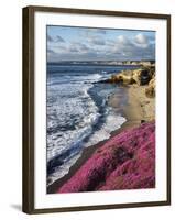 USA, California, La Jolla, Flowers Along the Pacific Coast-Christopher Talbot Frank-Framed Premium Photographic Print