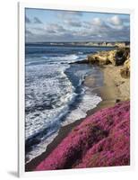 USA, California, La Jolla, Flowers Along the Pacific Coast-Christopher Talbot Frank-Framed Photographic Print