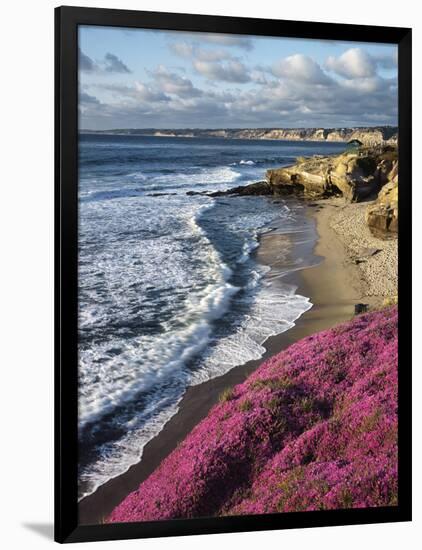 USA, California, La Jolla, Flowers Along the Pacific Coast-Christopher Talbot Frank-Framed Photographic Print