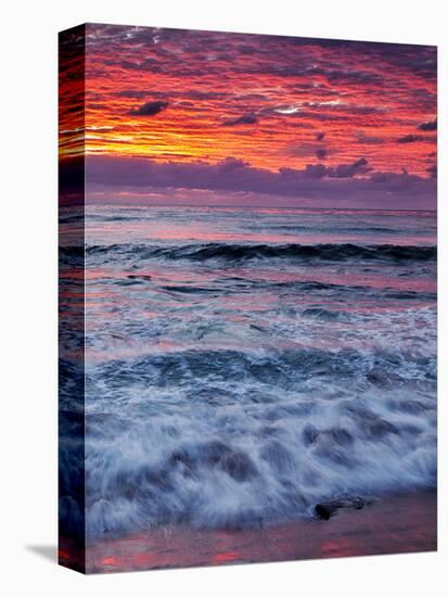 USA, California, La Jolla, Reflections of Sunset at Windansea Beach-Ann Collins-Stretched Canvas